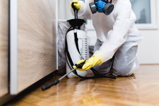 Best Affordable Pest Control Services  in Gulf Hills, MS