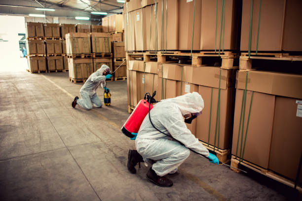 Best Pest Removal Services  in Gulf Hills, MS
