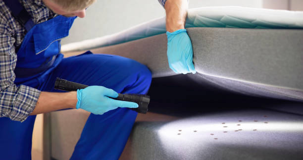 Trusted Gulf Hills, MS Pest Control Experts