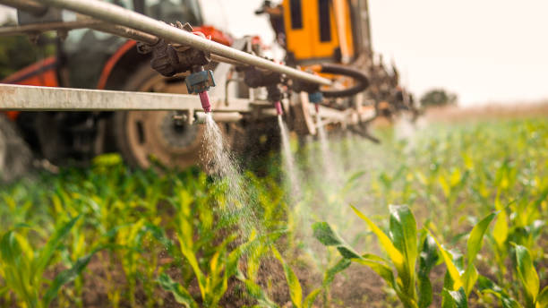 Best Mosquito Control Services  in Gulf Hills, MS